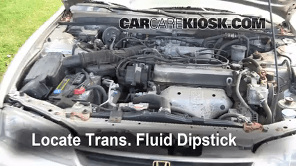 Transmission Fluid Level Check Honda Accord (1994-1997) - 1997 Honda